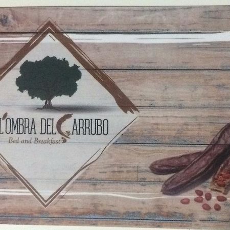 All'Ombra Del Carrubo - Metaponto Εξωτερικό φωτογραφία